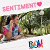 Naiara Terra - Sentimento Bom - Single